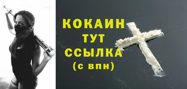 PSILOCYBIN Абаза