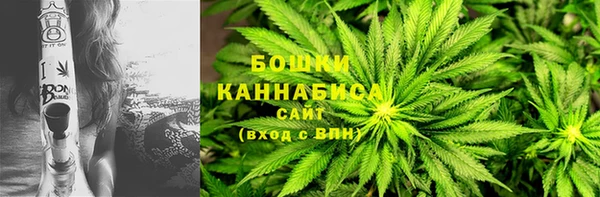 PSILOCYBIN Абаза
