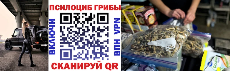 купить   Нижнекамск  Галлюциногенные грибы MAGIC MUSHROOMS 
