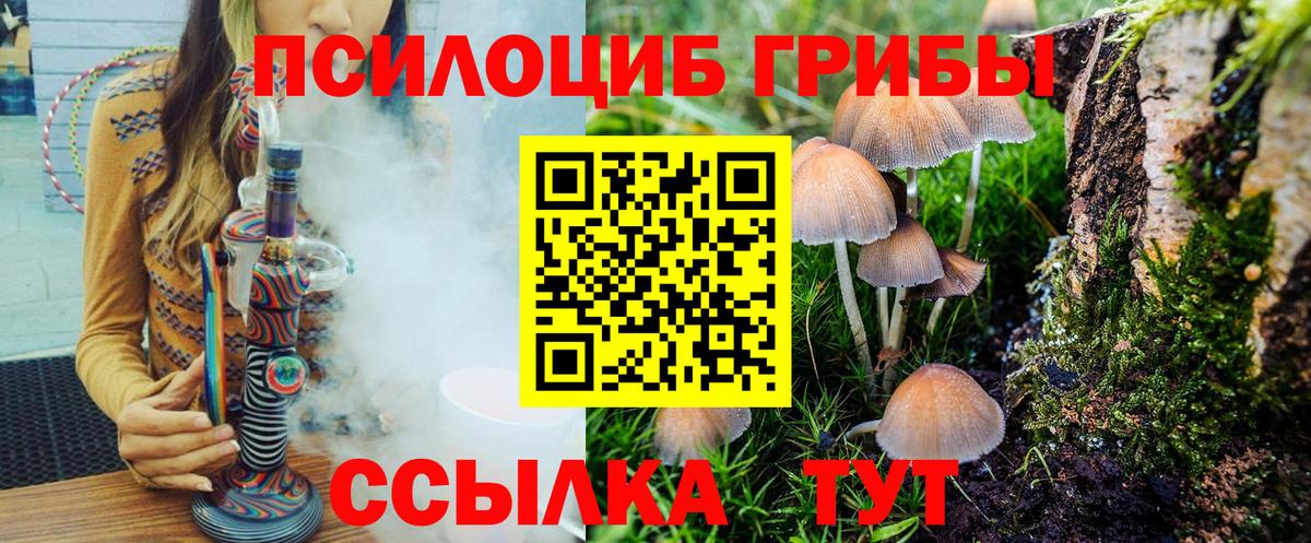 Нижнекамск  Псилоцибиновые грибы мицелий  Вход с VPN 