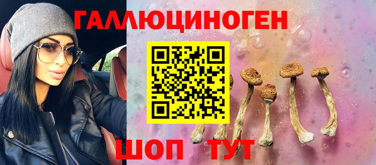 Галлюциногенные грибы ЛСД Нижнекамск